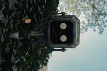 SpinTropolis Kasino Mobilní aplikace